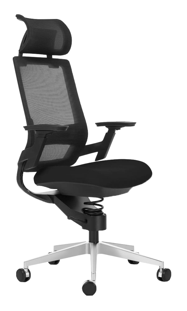 Proficiat Matron intern Adaptic Comfort | Bureaustoel voor een gezonde rug | Worktrainer.nl